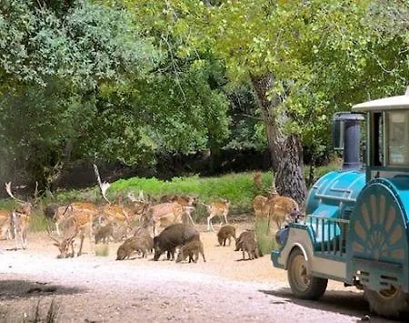 Mafra Guest House Guest house Mafra