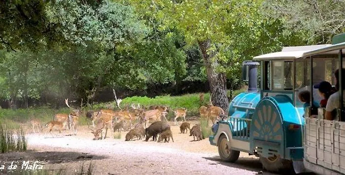 Mafra Guest House Gasthof Mafra